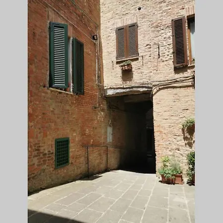 Apartman Casina Luce *
