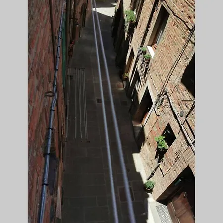 Διαμέρισμα Casina Luce